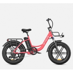 Elektrinis dviratis: ENGWE...