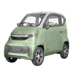 Elektrinis Mini Automobilis...